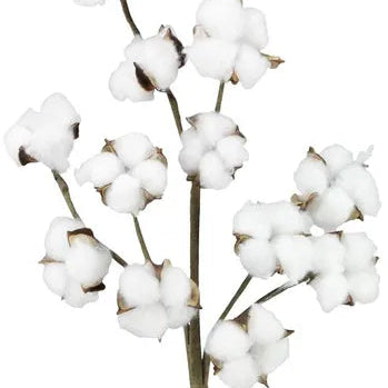 18.5"L POD SPRAY - NATURAL - FH7539