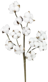 18.5"L POD SPRAY - NATURAL - FH7539