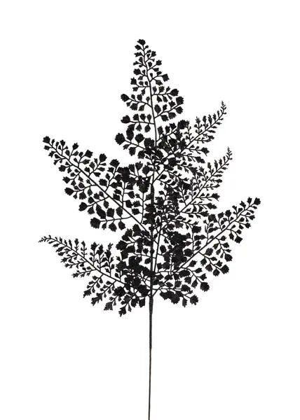 23"L GLITTER MAIDENHAIR FERN SPRAY X7 - BLACK - XS236602