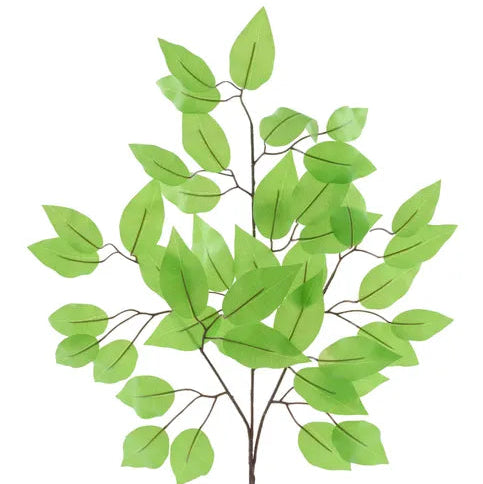 23"L FICUS SPRAY - LIME GREEN - FG633739