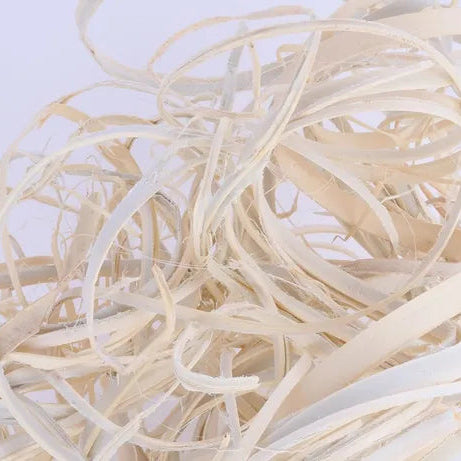 27"L CURLY PALM BUNDLE - BLEACHED - TT305031