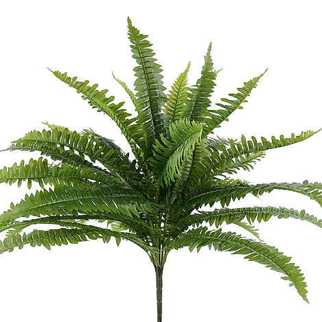 24"L BOSTON FERN BUSH - GREEN - FG695309