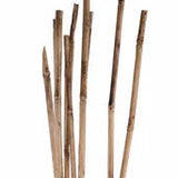 39.25"L BAMBOO REED BUNDLE X10 - TT3085