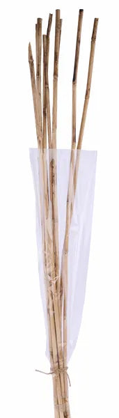 39.25"L BAMBOO REED BUNDLE X10 - TT3085