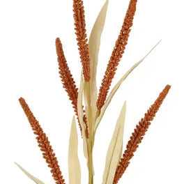 26.5"L SEED/PLUME STEM - BROWN - HA171804
