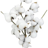 24"L SUPER POD SPRAY - NATURAL - FH7780