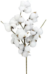 24"L SUPER POD SPRAY - NATURAL - FH7780