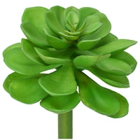 12" GRAND ECHEVERIA STEM - GREEN - DC15576GN