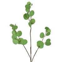 28" DOLLAR EUCALYPTUS SPRAY - DC19341