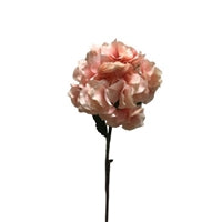 GIANT GARDEN HYDRANGEA STEM - PEACH/PINK - 28" - DC22427PHPK