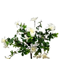 AZAELA BUSH 18" - WHITE - DCB6064WH
