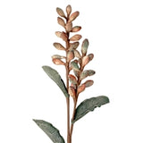 EVA FOAM WHITEWASHED PALM SEED BRANCH 35.5" - DCSP31391