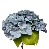 AUTUM MEADOWS HYDRANGEA BUSH X5 - BLUE 18" - DCSP5273BL