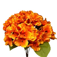 AUTUM MEADOWS HYDRANGEA BUSH X5 - ORANGE 18" - DCSP5273OR