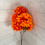 BALL MUM FALL BSHX6 -ORANGE - 97403 * BR