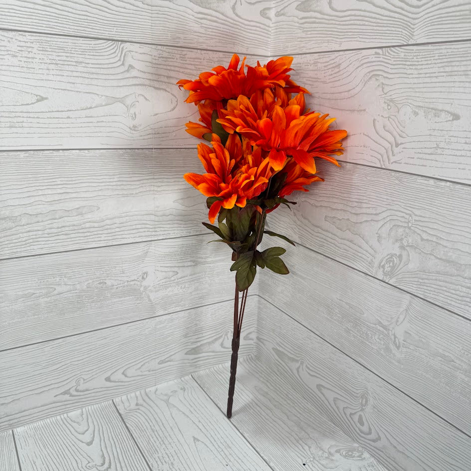 FALL DAHLIA X5 - ORANGE - 97322 * BR