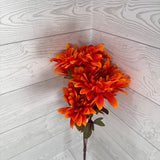 FALL DAHLIA X5 - ORANGE - 97322 * BR