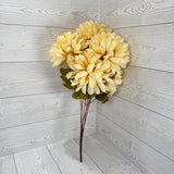 BALL MUM FALL BSHX6 - CREAM - 97401 * BR
