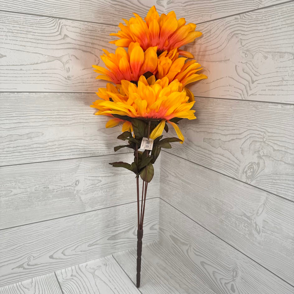 FALL DAHLIA X5 - YELLOW - 97321 * BR