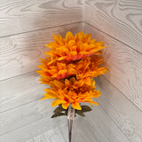 FALL DAHLIA X5 - YELLOW - 97321 * BR