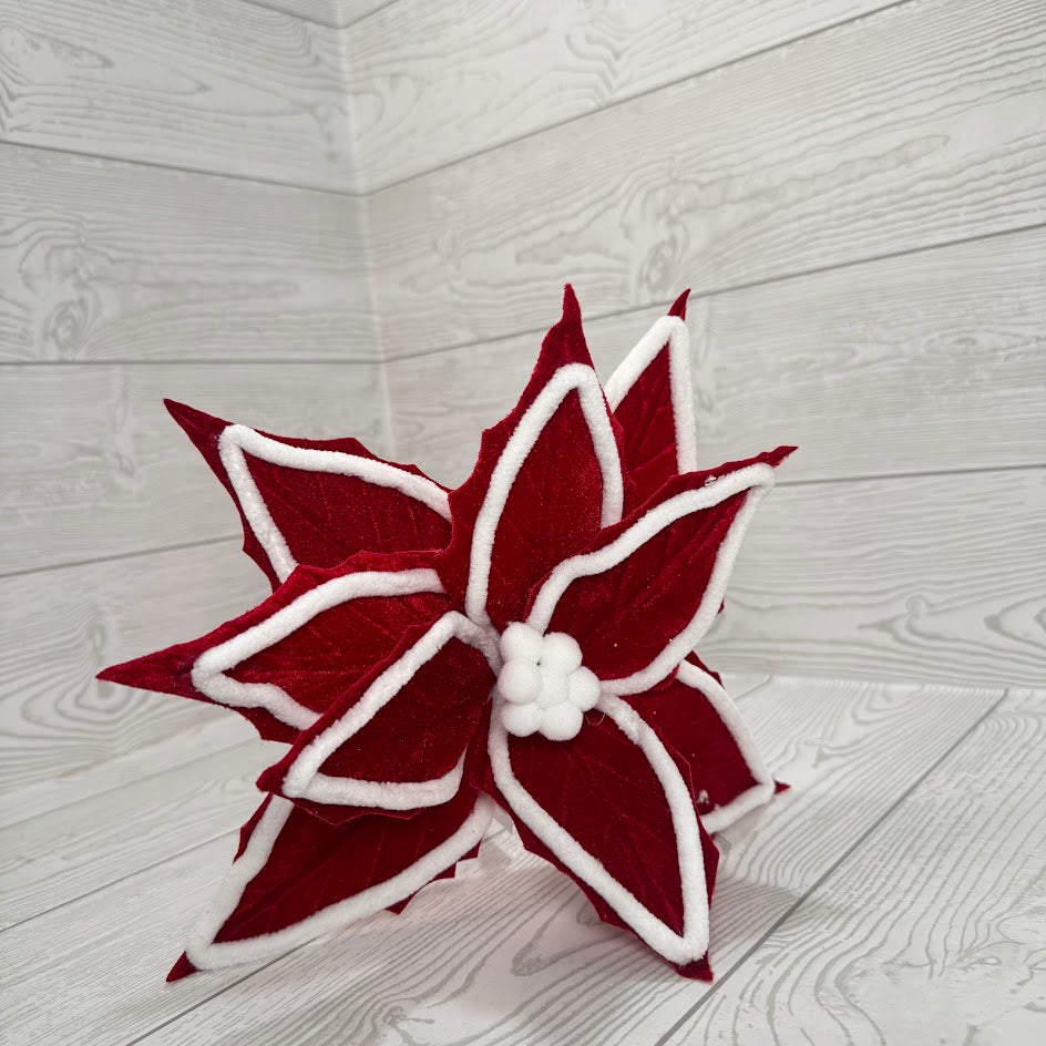 POINSETTIA - RED/WHITE - 26117 * G