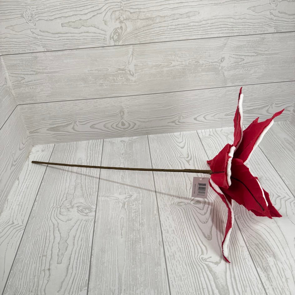 POINSETTIA - RED/WHITE - 26117 * G