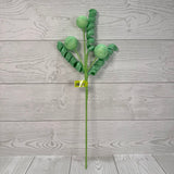 BALL CURLY PICK X5 H20 - MINT - 86626MINT * G