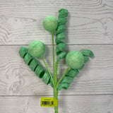 BALL CURLY PICK X5 H20 - MINT - 86626MINT * G