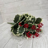 HOLLY BERRY BUSH X12 H21 - 80114VAGN * R BR
