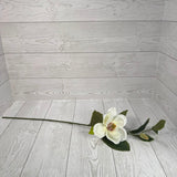 25.5" SINGLE MAGNOLIA SPRAY - 29346CM * BR