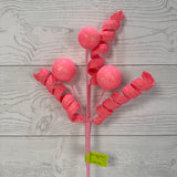 BALL CURLY PICK X5 H20 - PINK - 86626PK * G