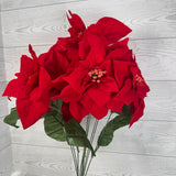 POINSETTIA X9 STEMS - RED - XB23422-RED * BR