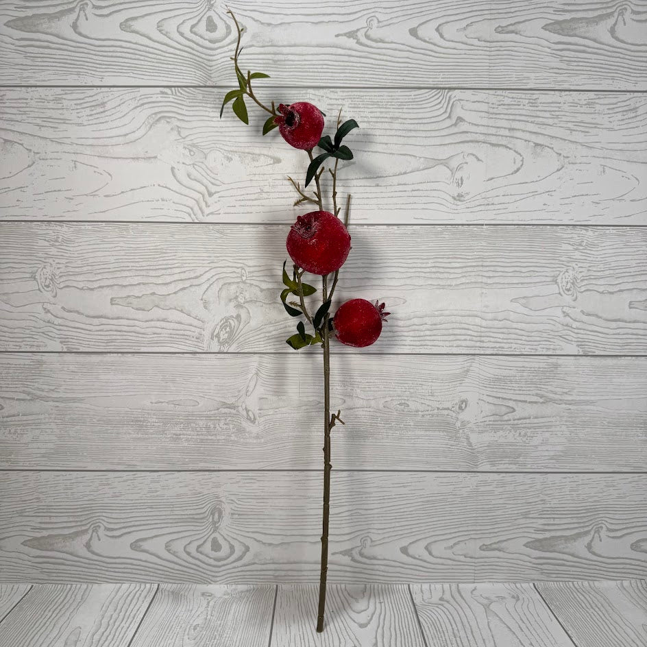 22" SUGAR COATED POMEGRANATE - X26841-RED