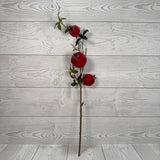 22" SUGAR COATED POMEGRANATE - X26841-RED