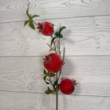 22" SUGAR COATED POMEGRANATE - X26841-RED