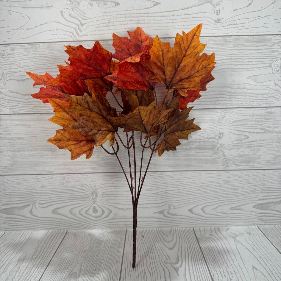 MAPLE BUSH X5 - ORANGE - AU25471-OR