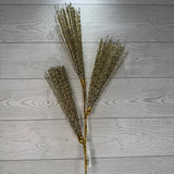 35" SHINY SPIKES X3 - X25910-GOLD * RD