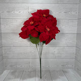 18" POINSETTIA X5 BUSH - XB19895-RED