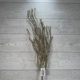 GLITTER BRANCH SPRAY - X23129-CHAM * G