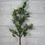 25.5" GLITTER BAY LEAF - X26831-GRN