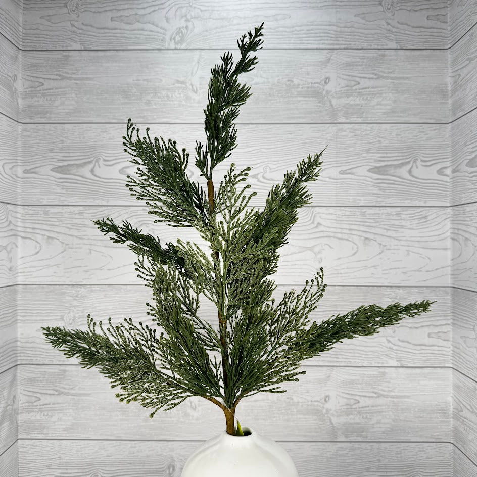 CYPRESS PICK H26 - NATURAL GREEN/BROWN - OO - 86308SP26