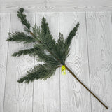 CYPRESS PICK H26 - NATURAL GREEN/BROWN - OO - 86308SP26