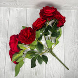 19IN RANUNCULUS BUSH X6 - RED - 84894-RD * PK G