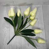 18IN TULIP BUSH X9 - CREAM - 84888-CR * BL