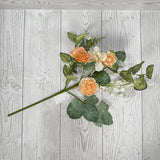 18IN MIXED CAMELLIA - PEACH - 65479 * PK G