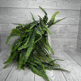 32IN PLASTIC FERN HANGING X5 - 85619 * R BR