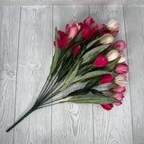 20IN TULIP BUSH X 20 - PINK/BEAUTY - 85476-PKBTY * G