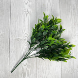 14IN BABY RUSCUS BUSH X5 - 84814