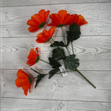 COSMO BUSH X6 - ORANGE - B26224-OR * BL