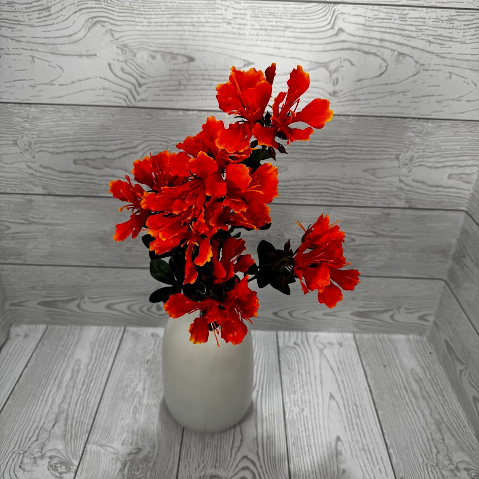 19" DELONIX SPRAY - ORANGE - 28408 * OO